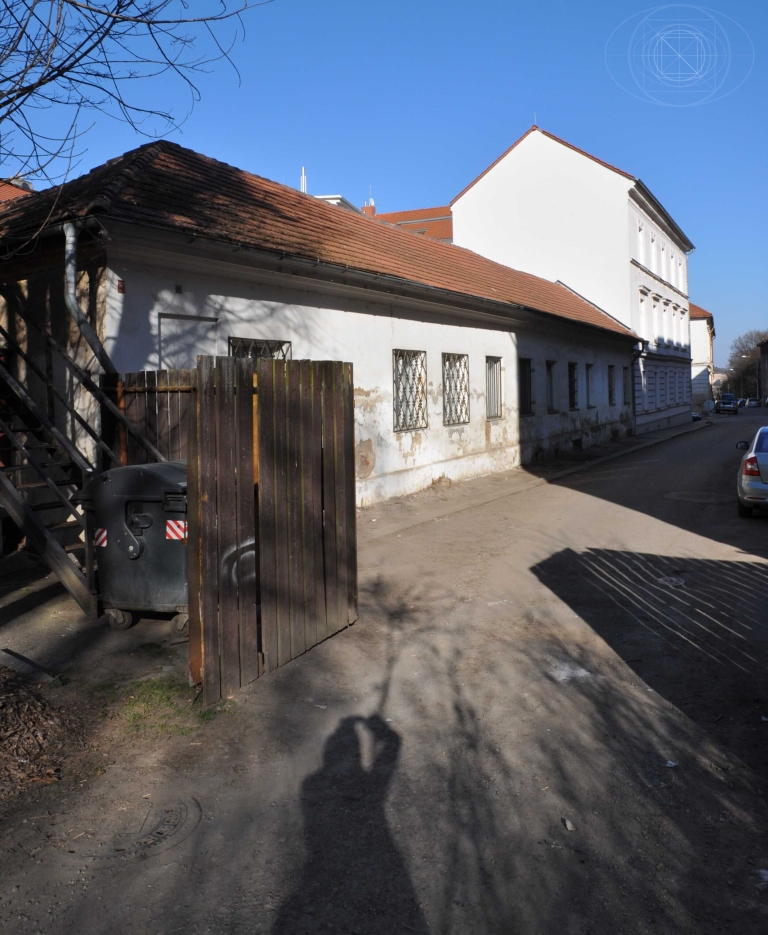 Nekl1