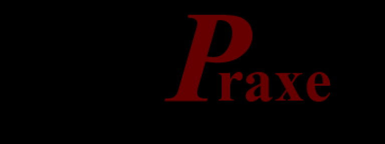 praxe
